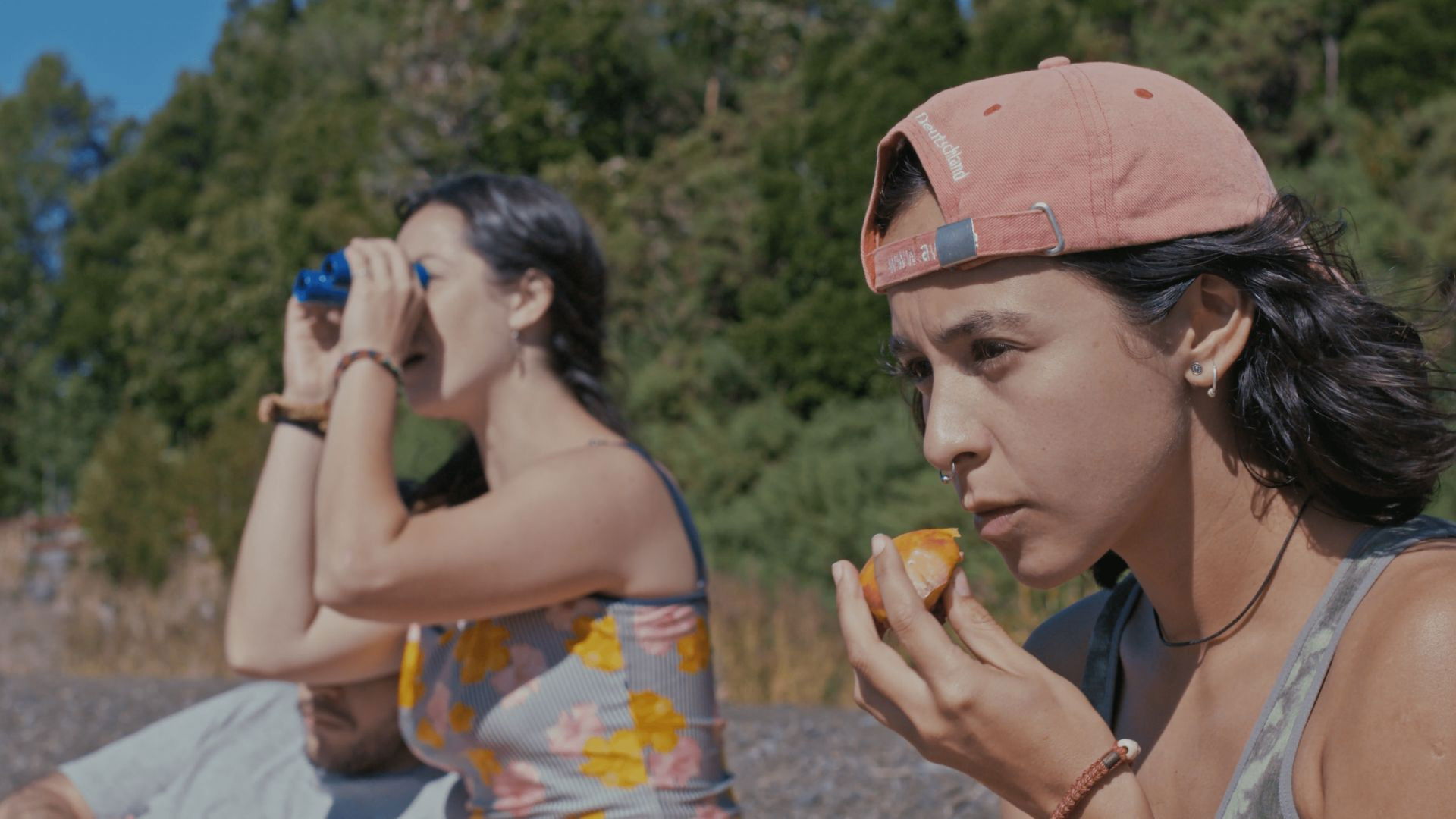 Backdrop for Monkey Bird