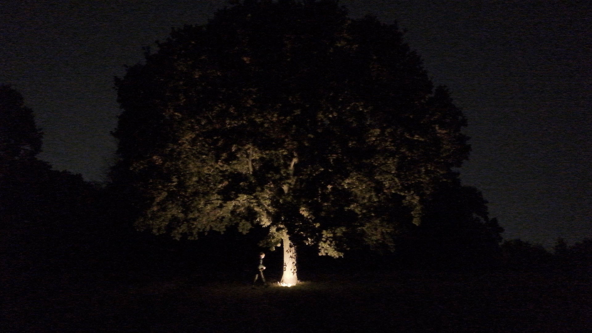 Backdrop for Six Weeks