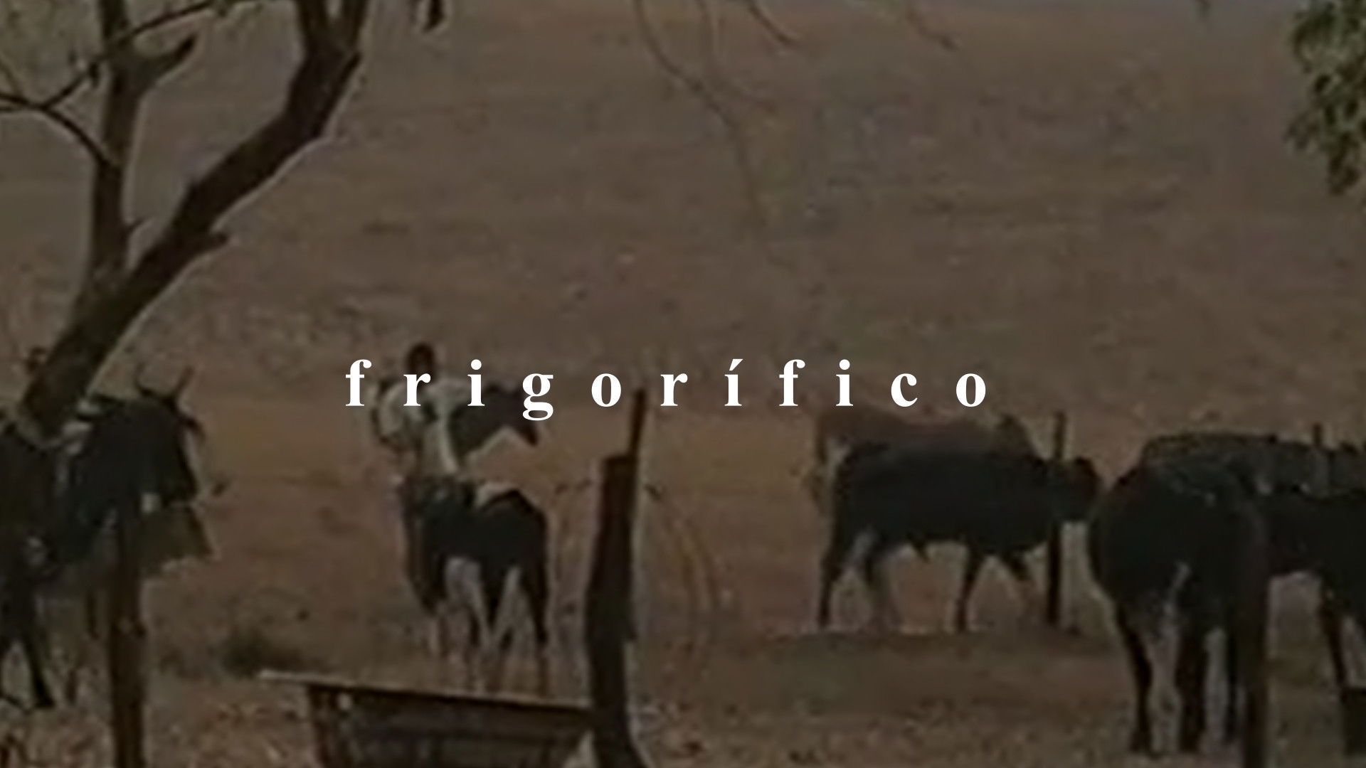 Backdrop for Frigorífico