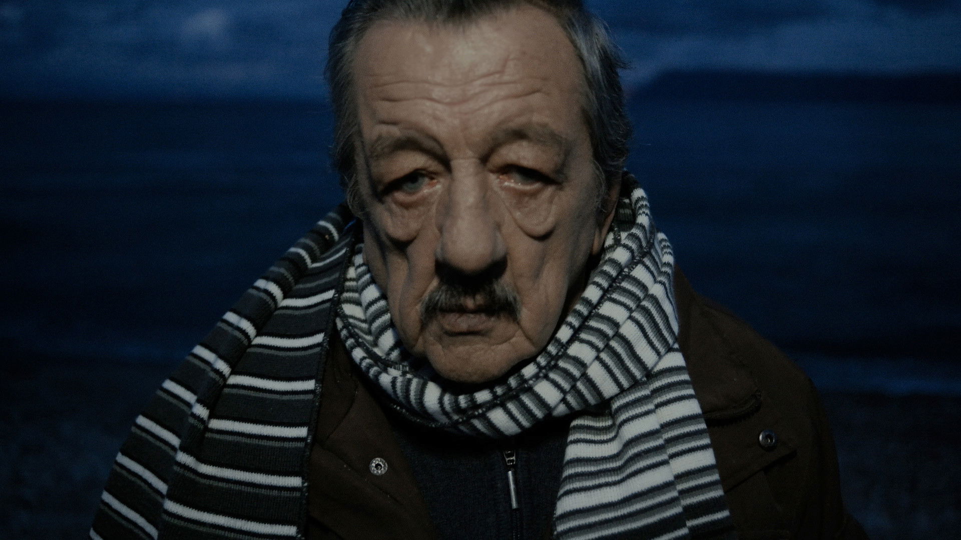 Backdrop for Primula Rossa