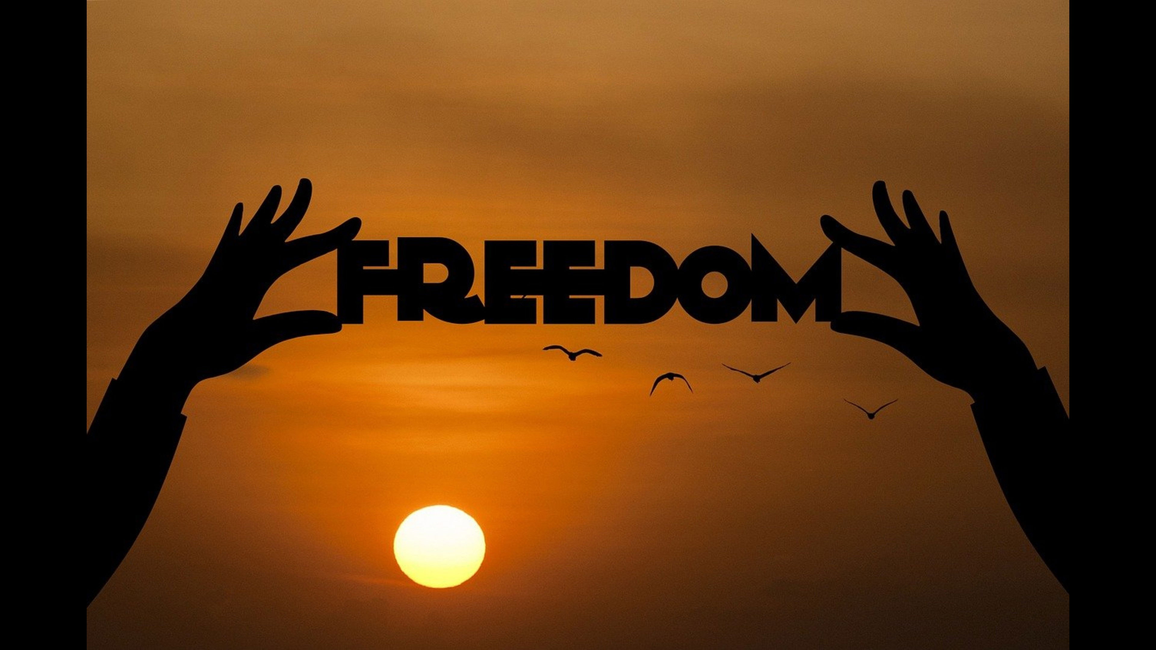 Backdrop for Just Be Free?