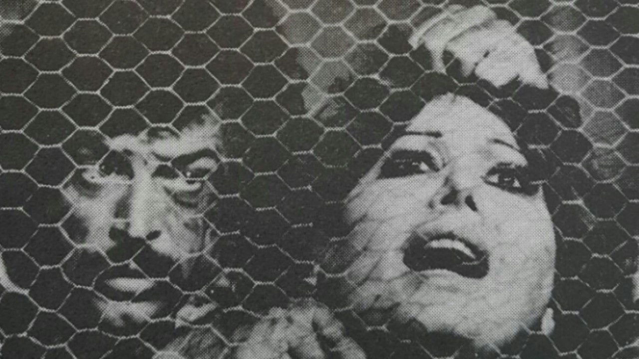 Backdrop for The Red-Haired