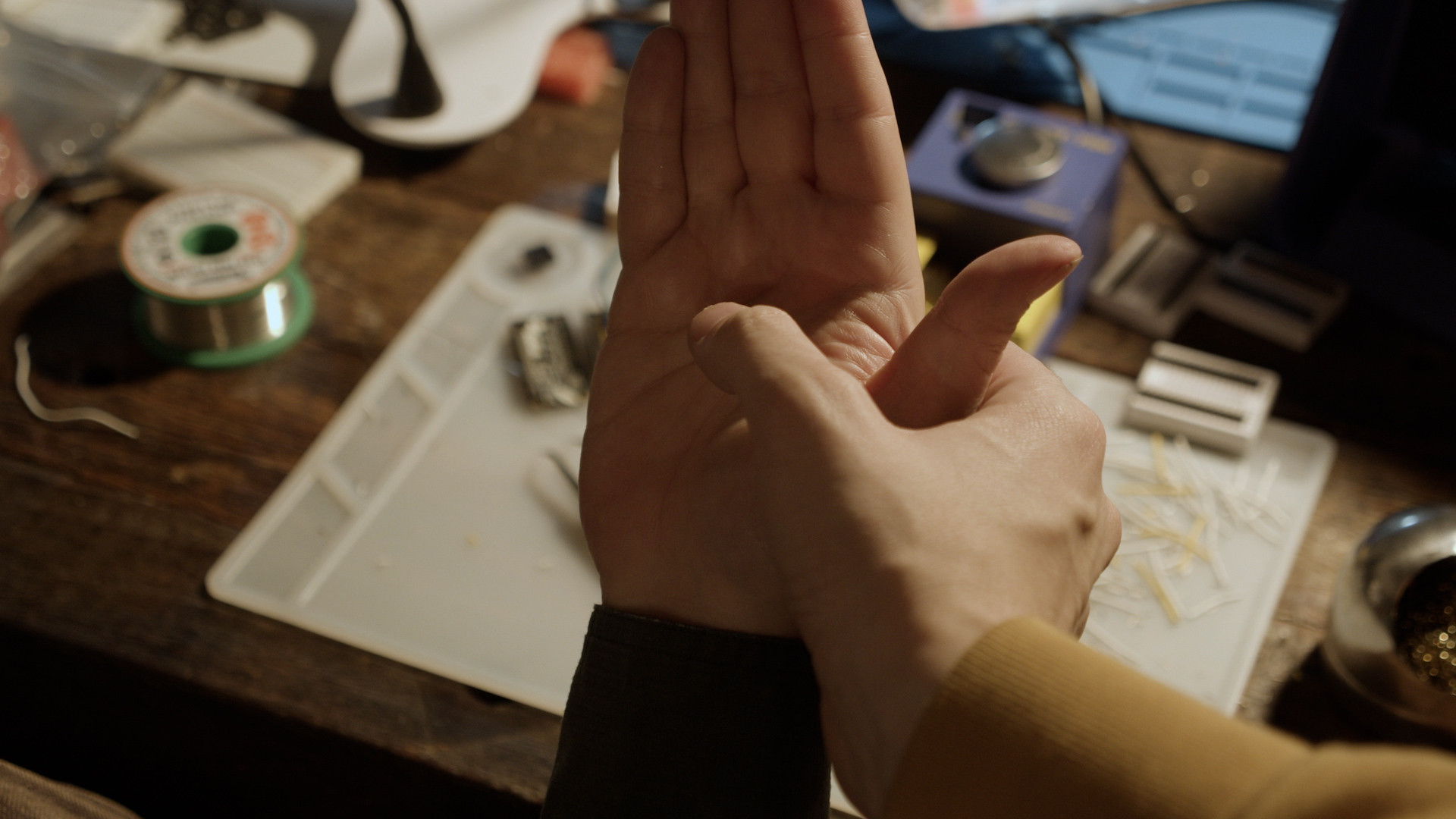 Backdrop for Our Ark