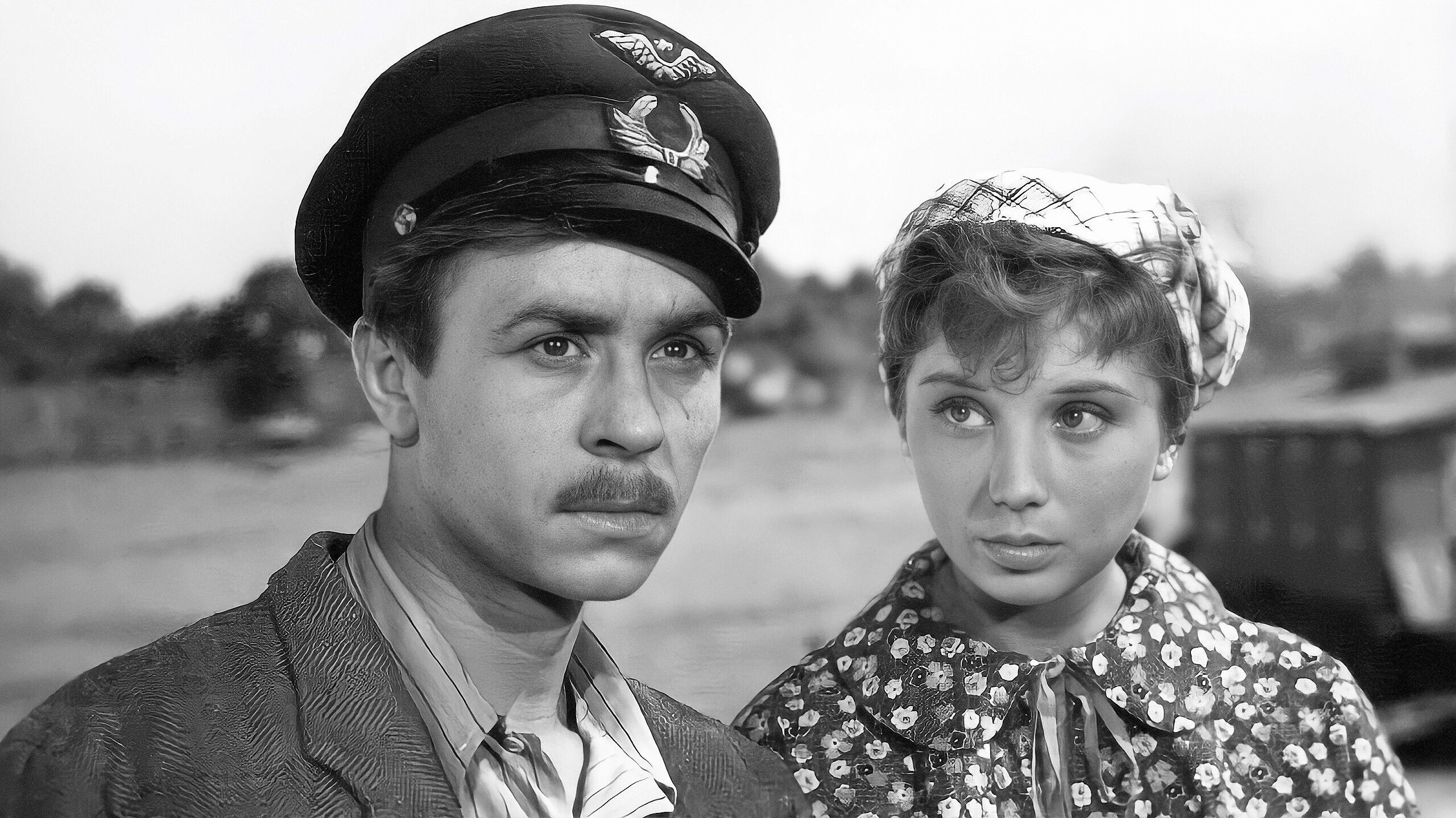 Backdrop for The City Turns the Lights On