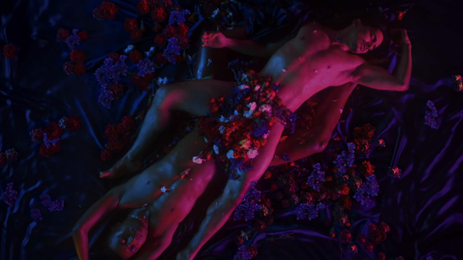 Backdrop for The Little Death