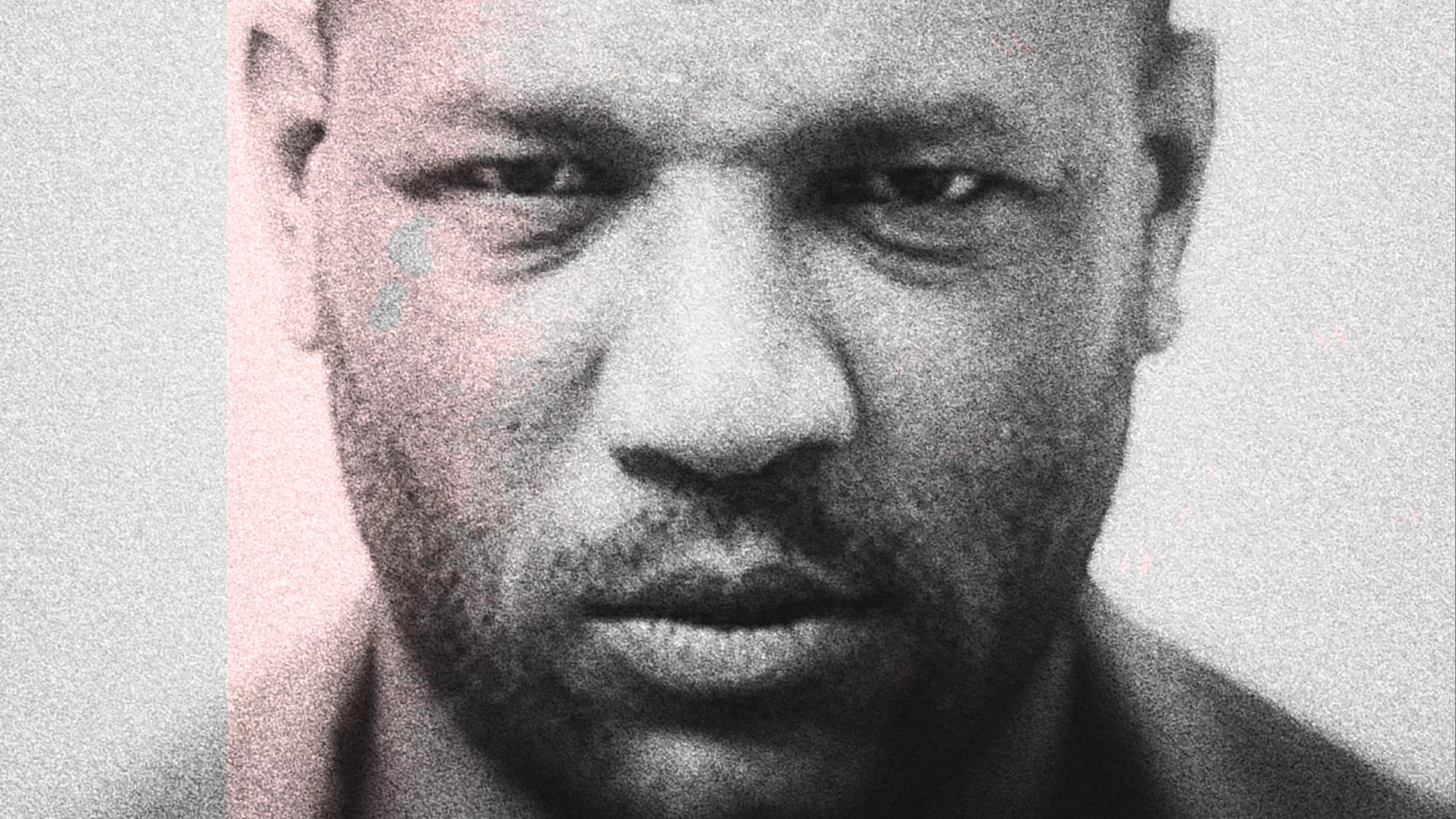 Backdrop for Trabelsi