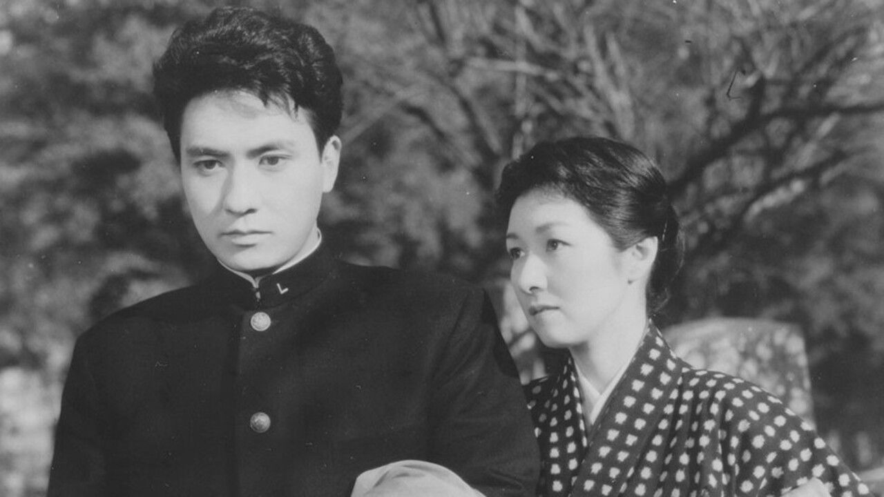 Backdrop for Flying in the Air