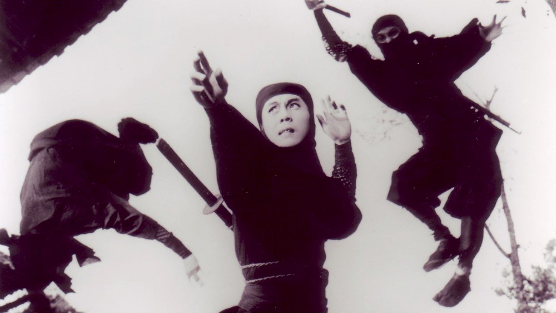 Backdrop for Shinobi No Mono 5: Return of Mist Saizo