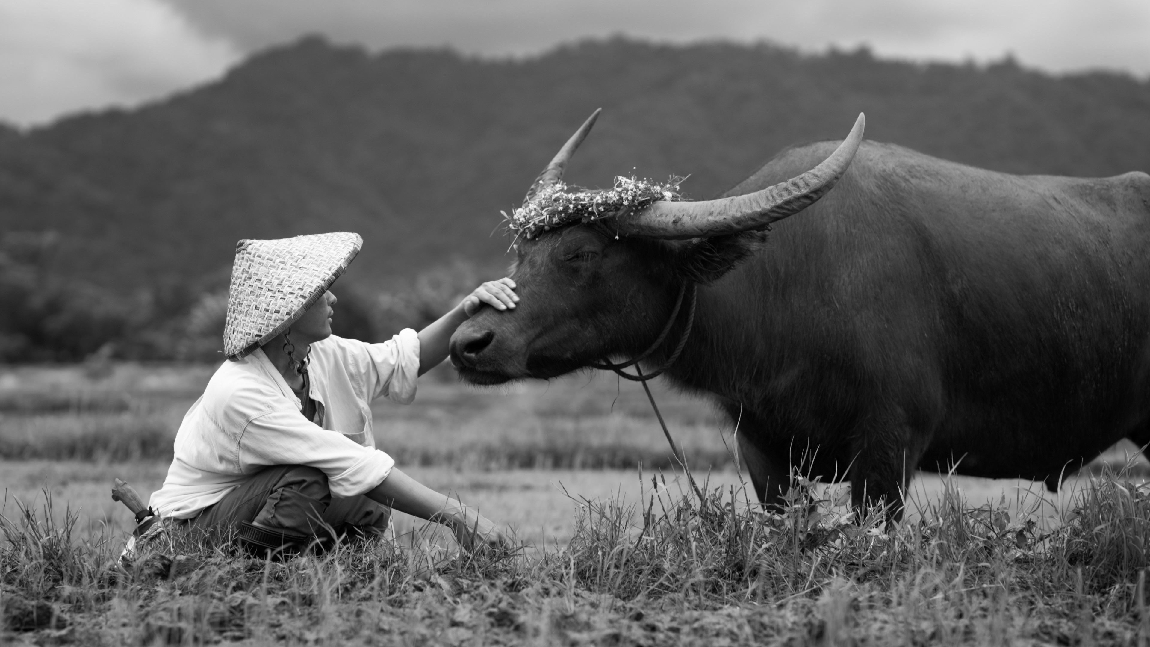 Backdrop for Animal Lovers