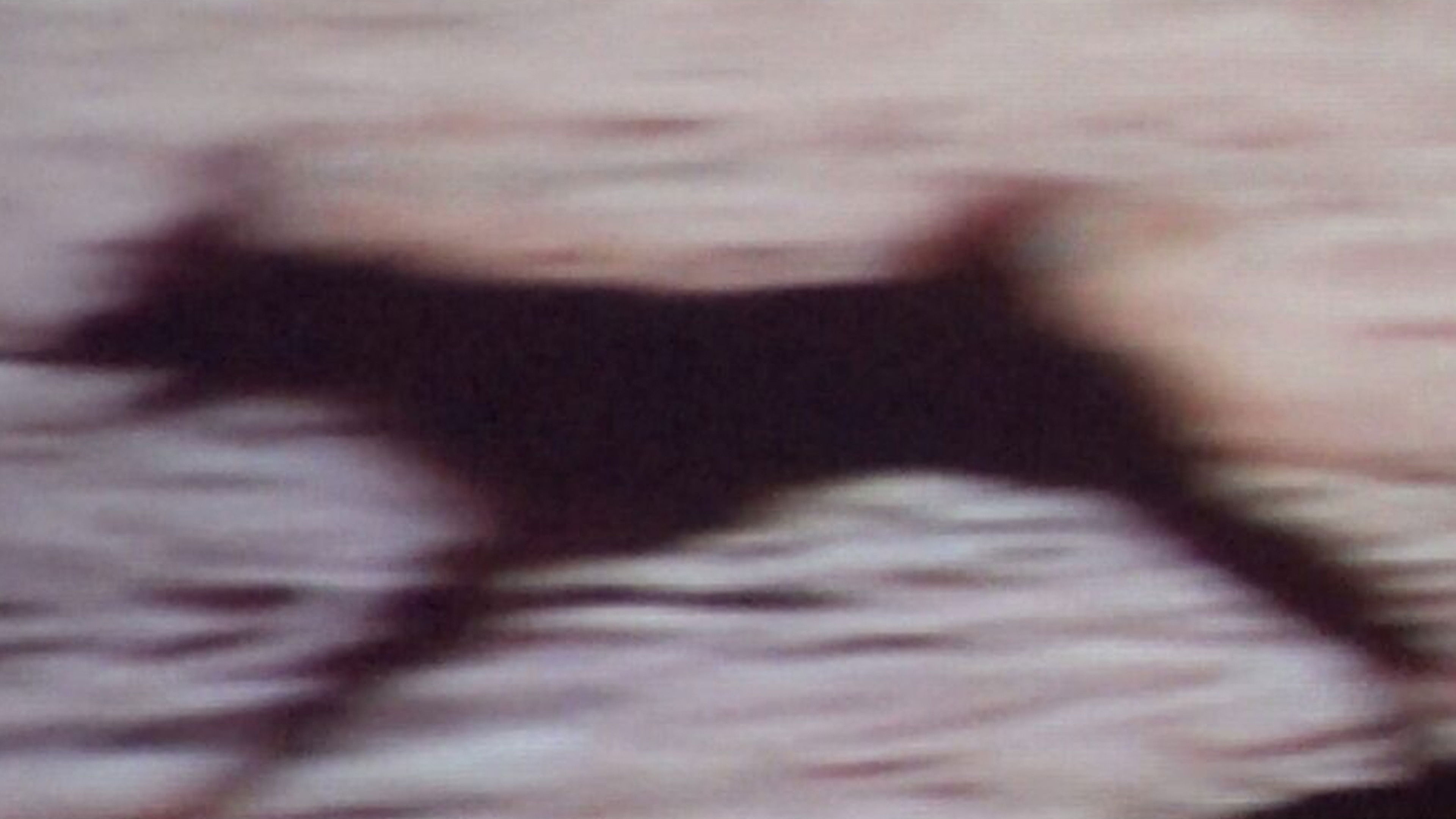 Backdrop for Rituales de registro