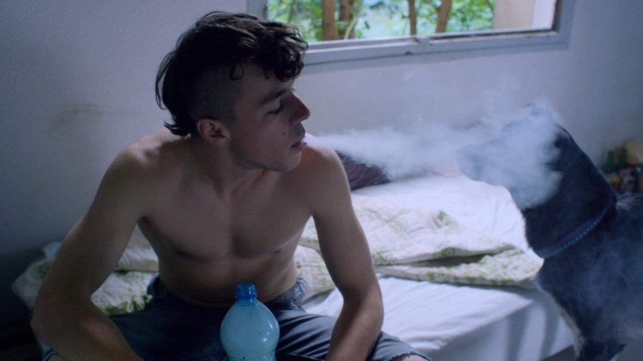 Backdrop for Still Life