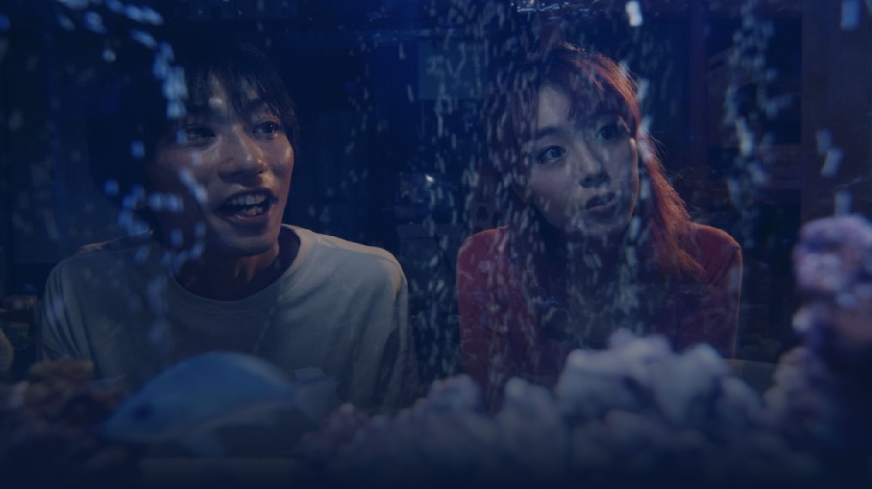 Backdrop for Playing Dead