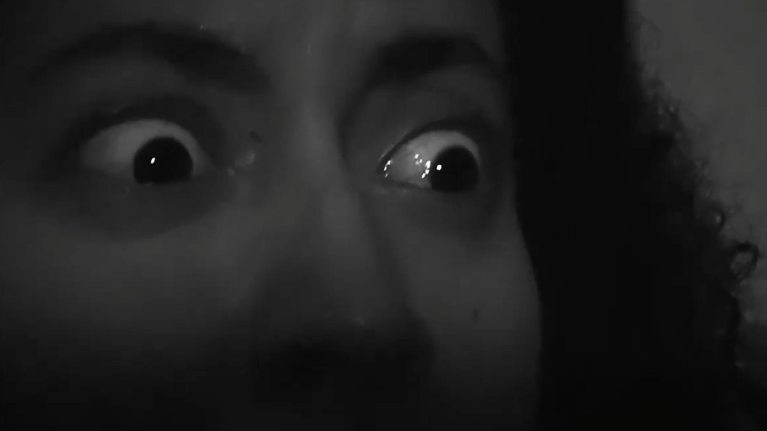 Backdrop for ¡Alacrán!