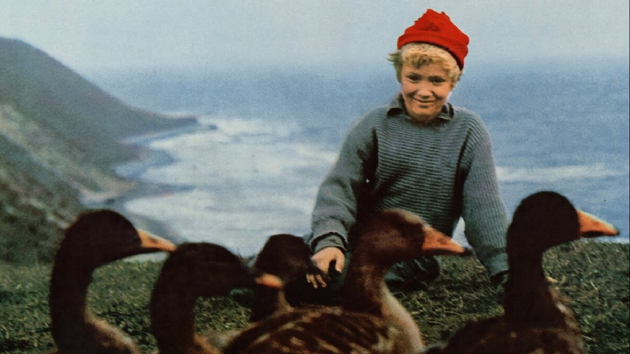 Backdrop for Wonderful Adventures of Nils