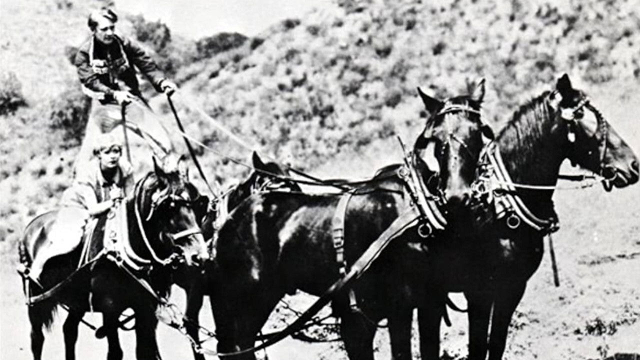 Backdrop for The Arizona Whirlwind