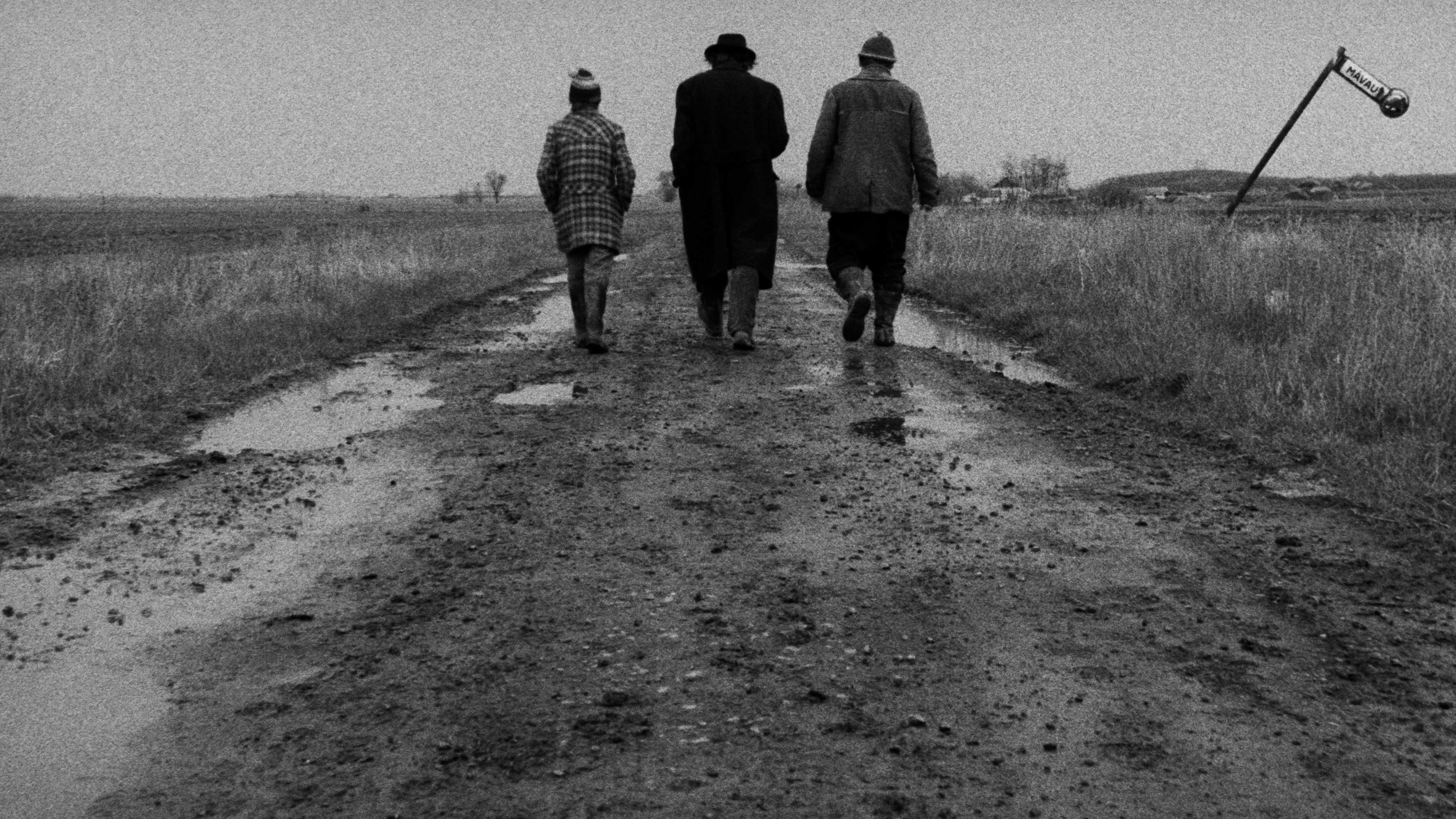 Backdrop for Satantango