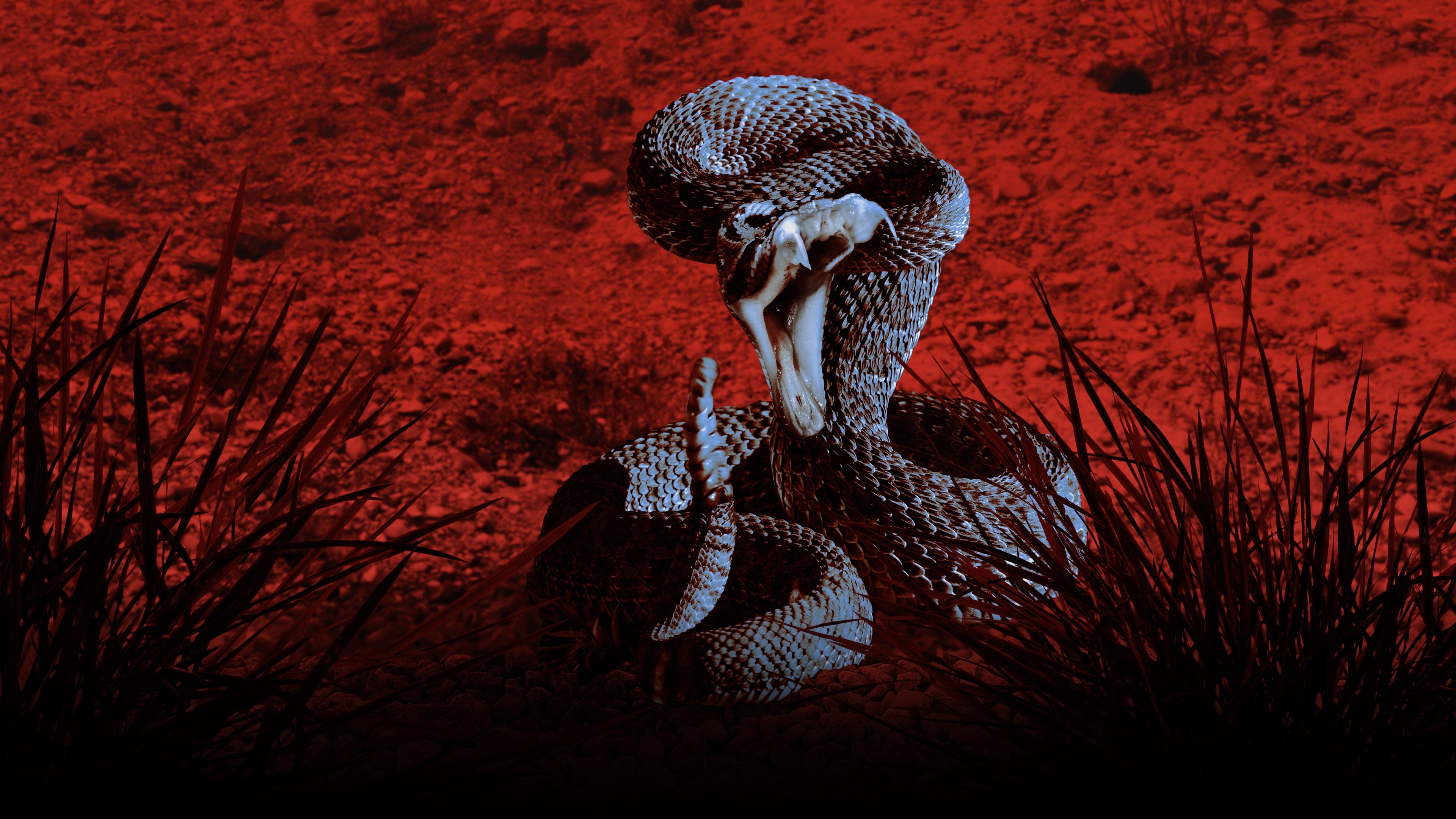 Backdrop for Something Bit Me!