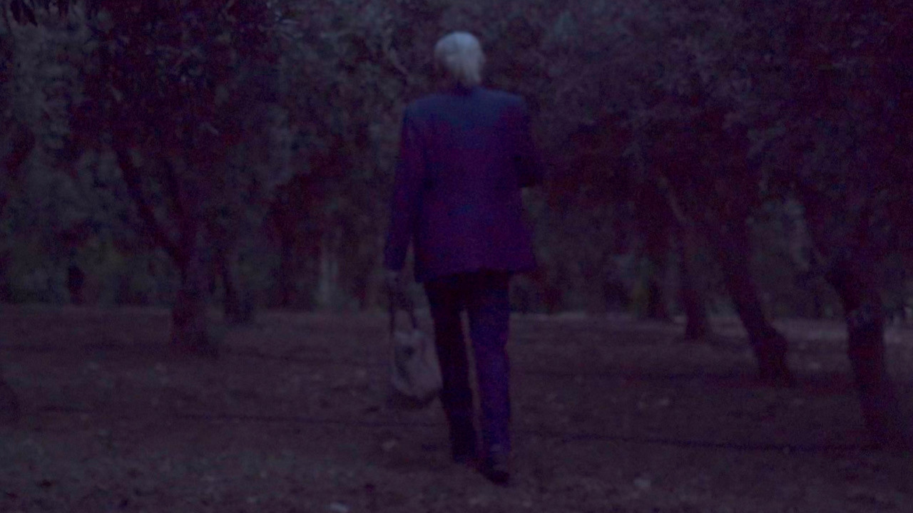 Backdrop for Bloom of Old Trees