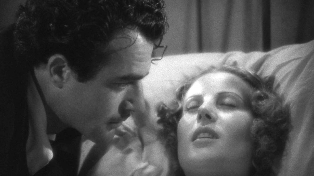 Backdrop for The Bohemian Life