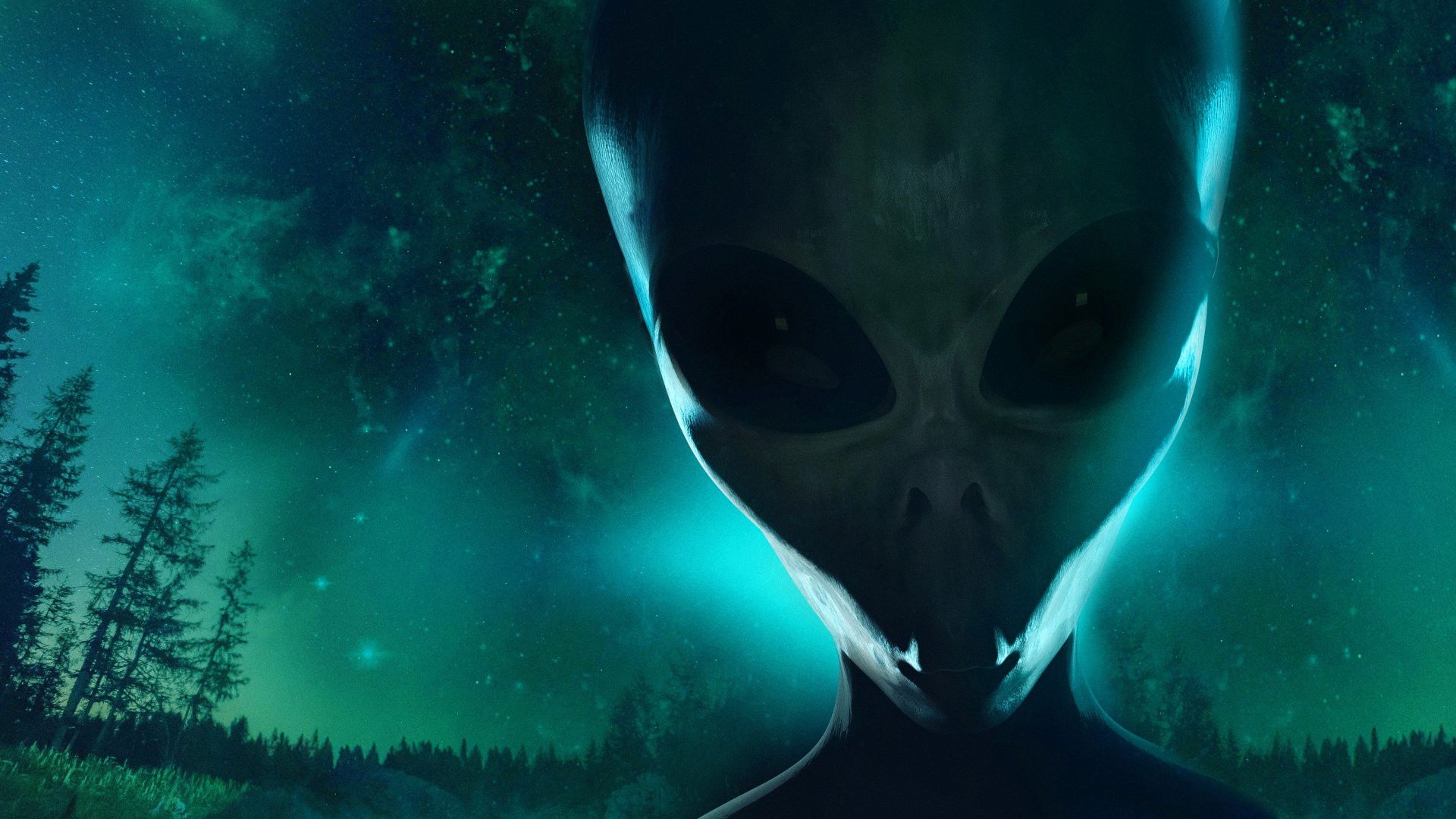 Backdrop for The Visitors