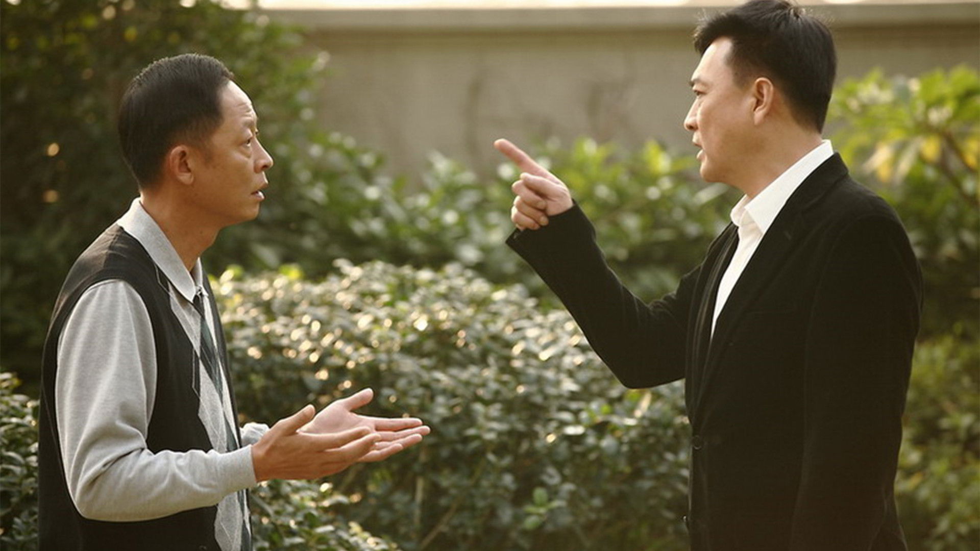 Backdrop for Green Porcelain