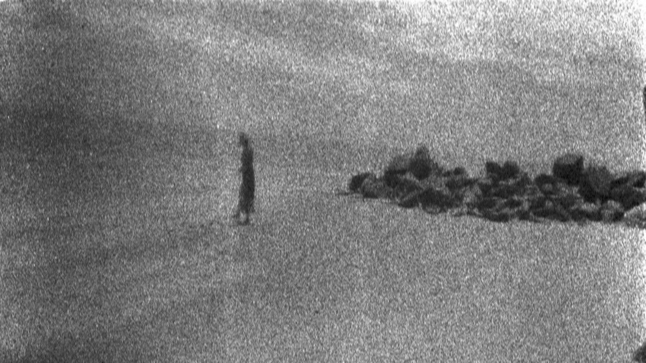 Backdrop for Dream in Shambles