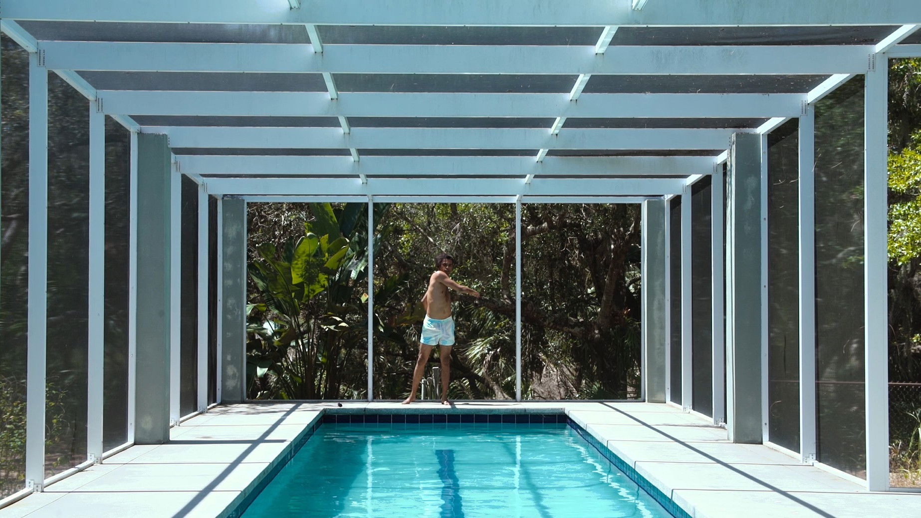 Backdrop for Alternalife