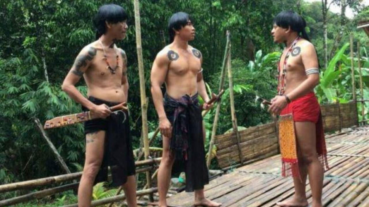 Backdrop for Peransang Rentap