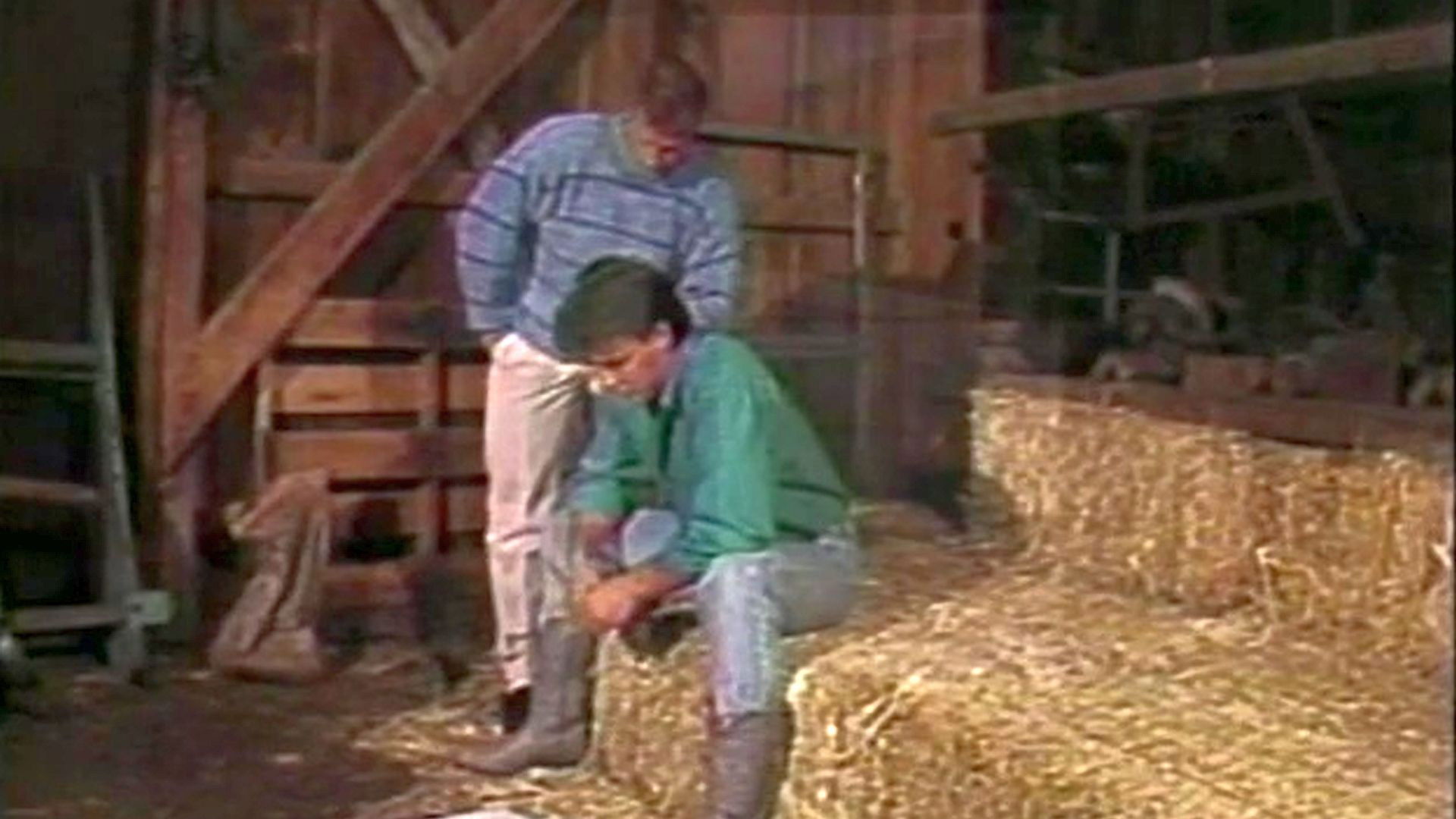 Backdrop for Behind the Barn Door