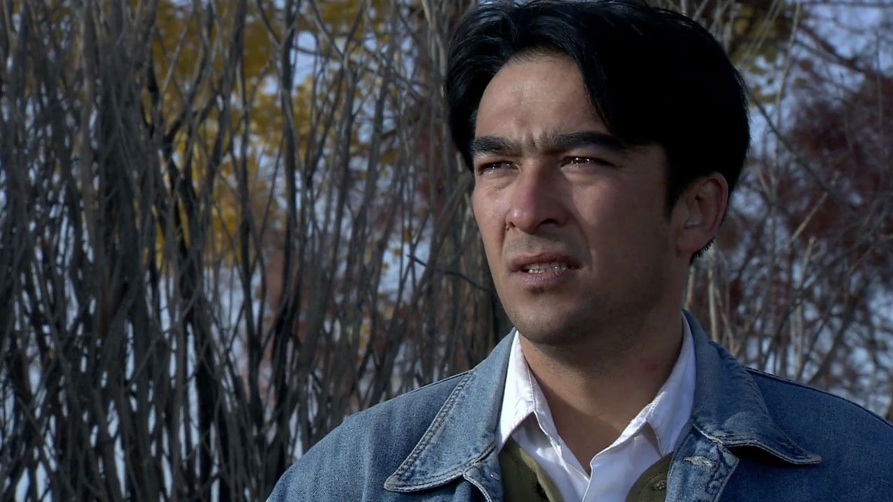 Backdrop for 胡杨人