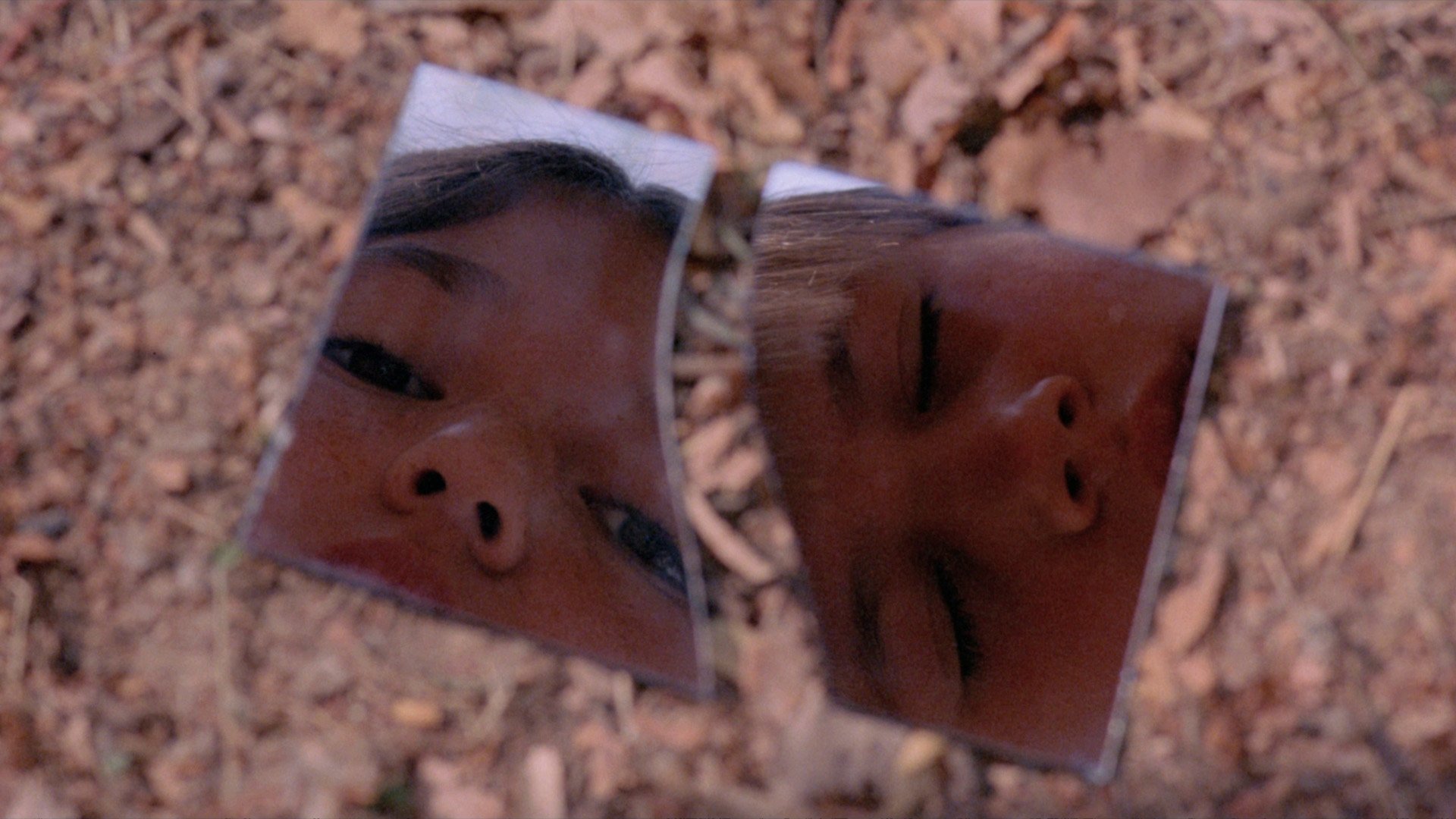 Backdrop for The Silence