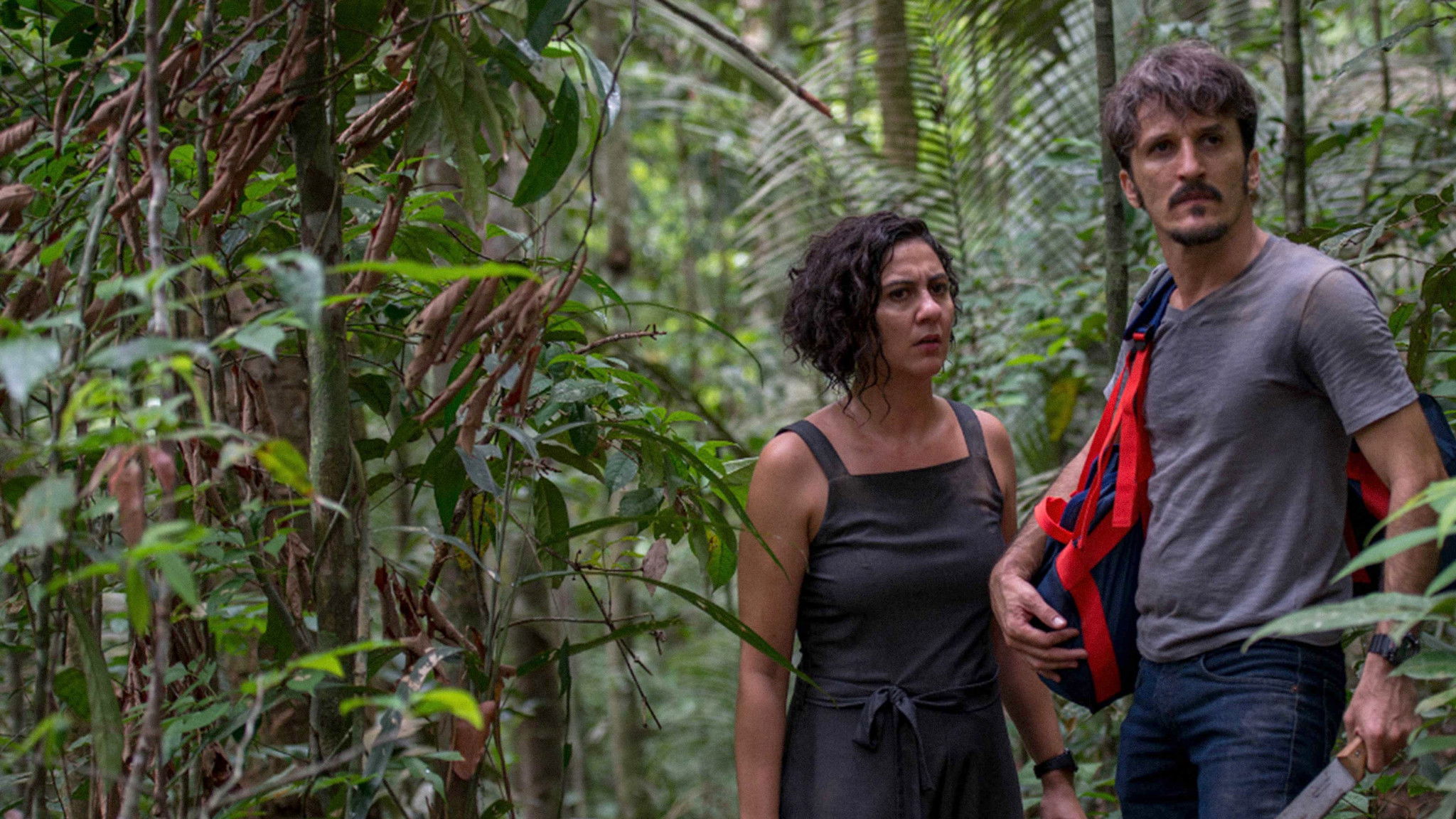 Backdrop for Jungle Pilot