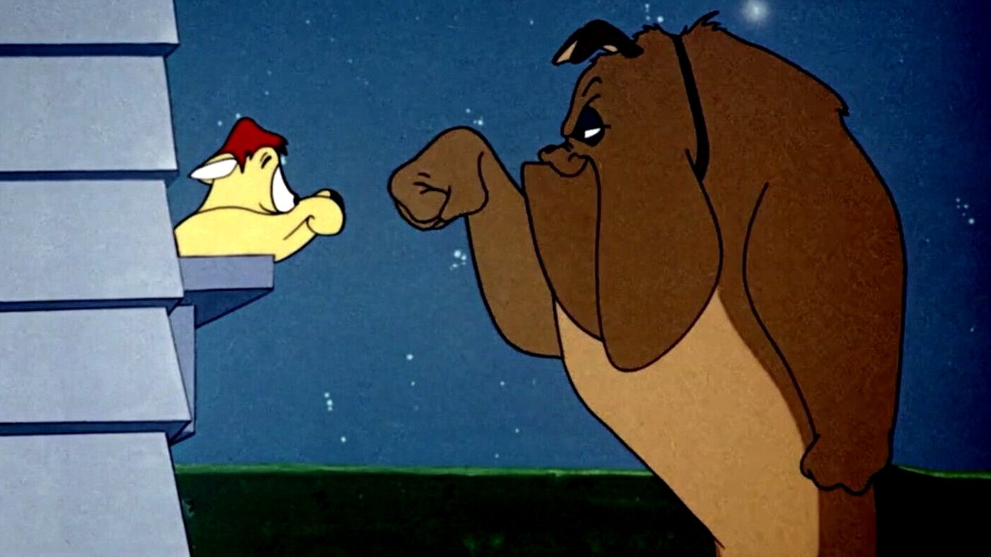 Backdrop for Feline Frame-Up