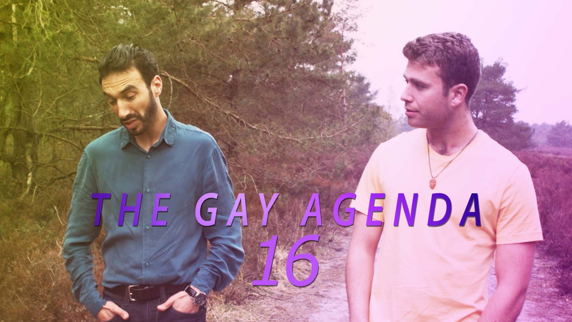 Backdrop for The Gay Agenda 16