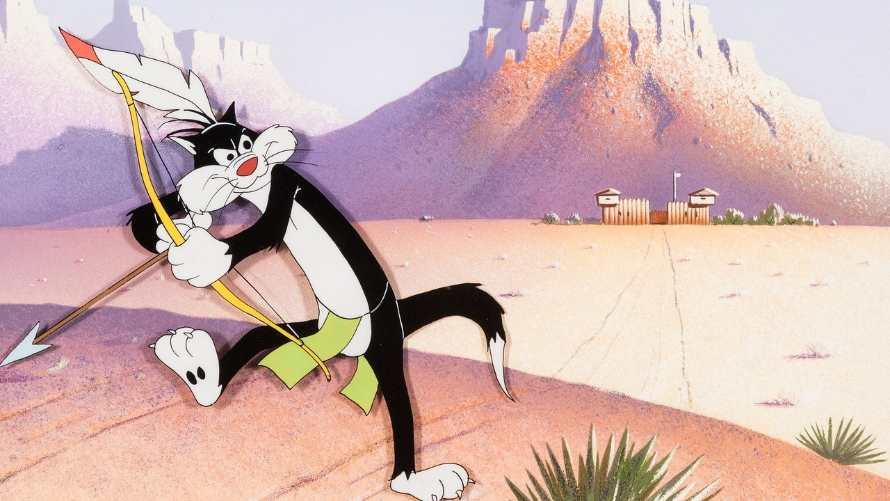 Backdrop for Tom Tom Tomcat