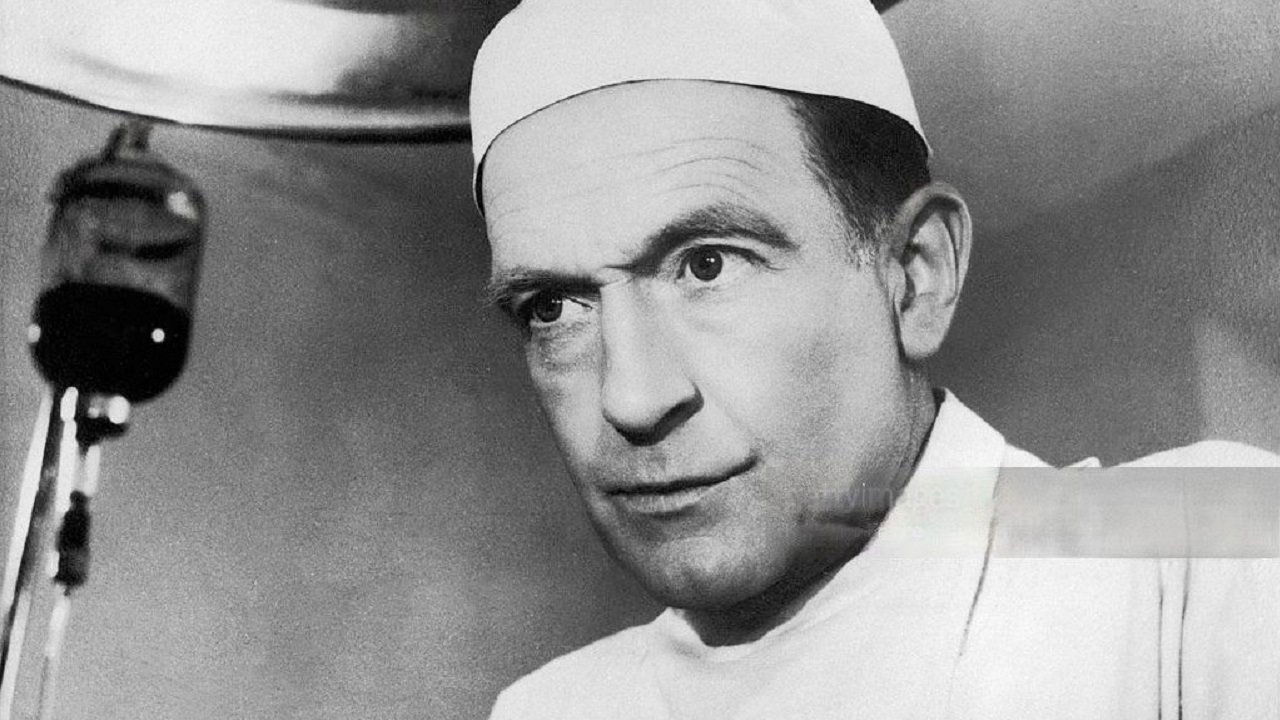 Backdrop for Perfectionist