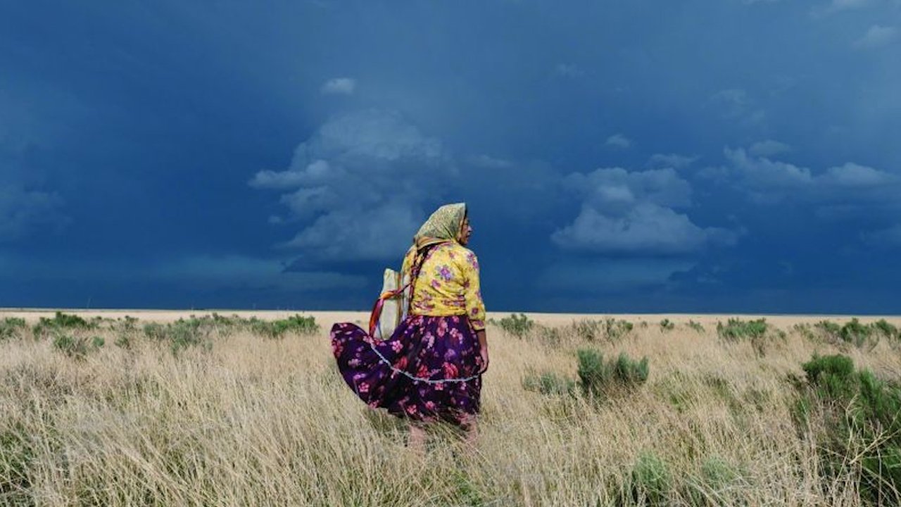 Backdrop for The Woman of Stars and Mountains