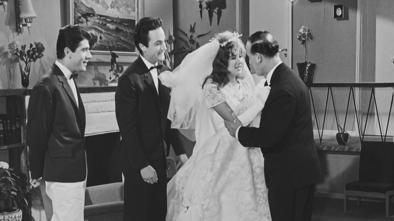 Backdrop for My Groom, the Lawyer!