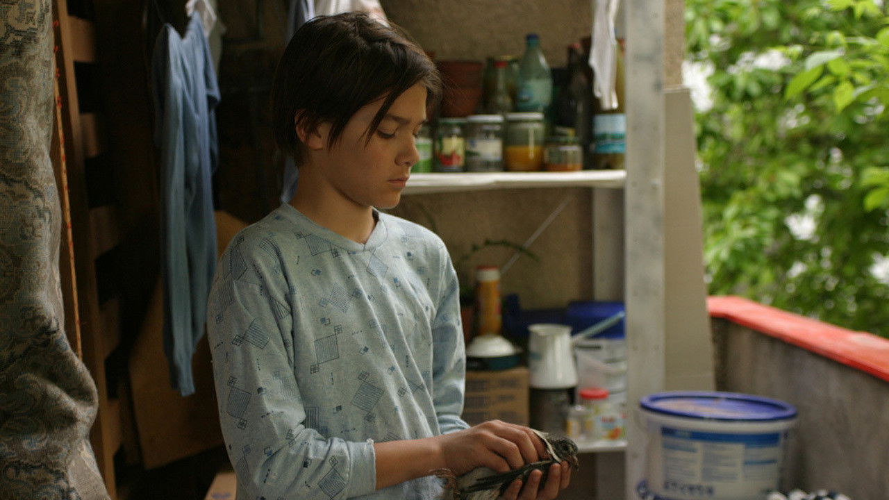 Backdrop for The Cage