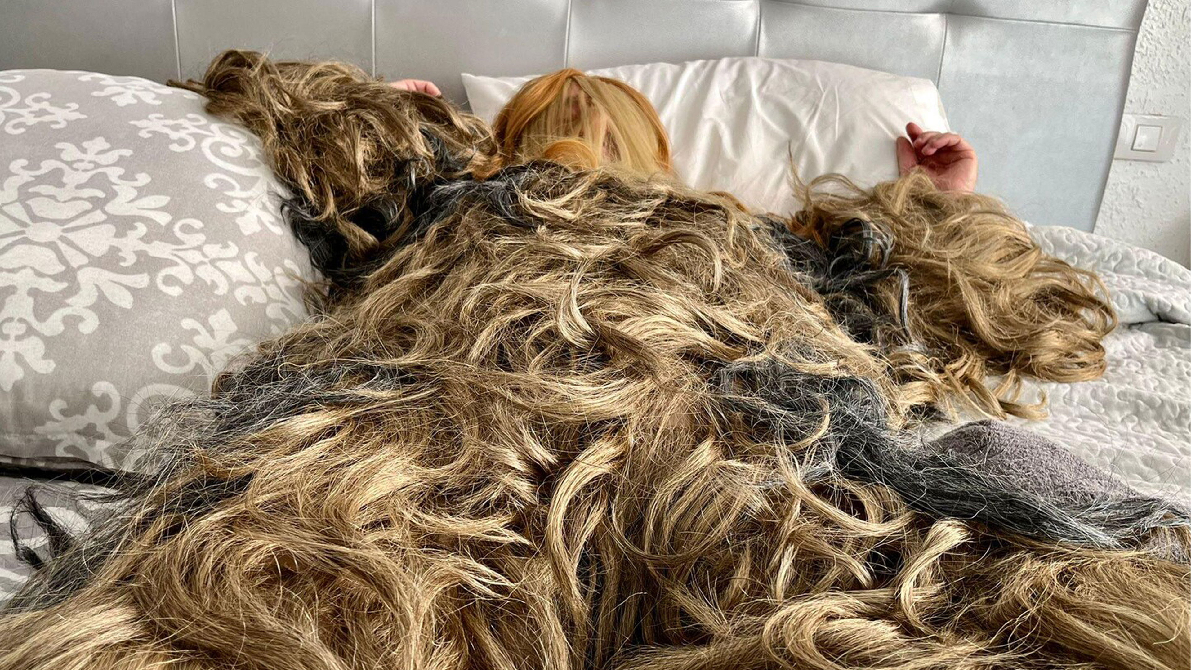 Backdrop for Follycle