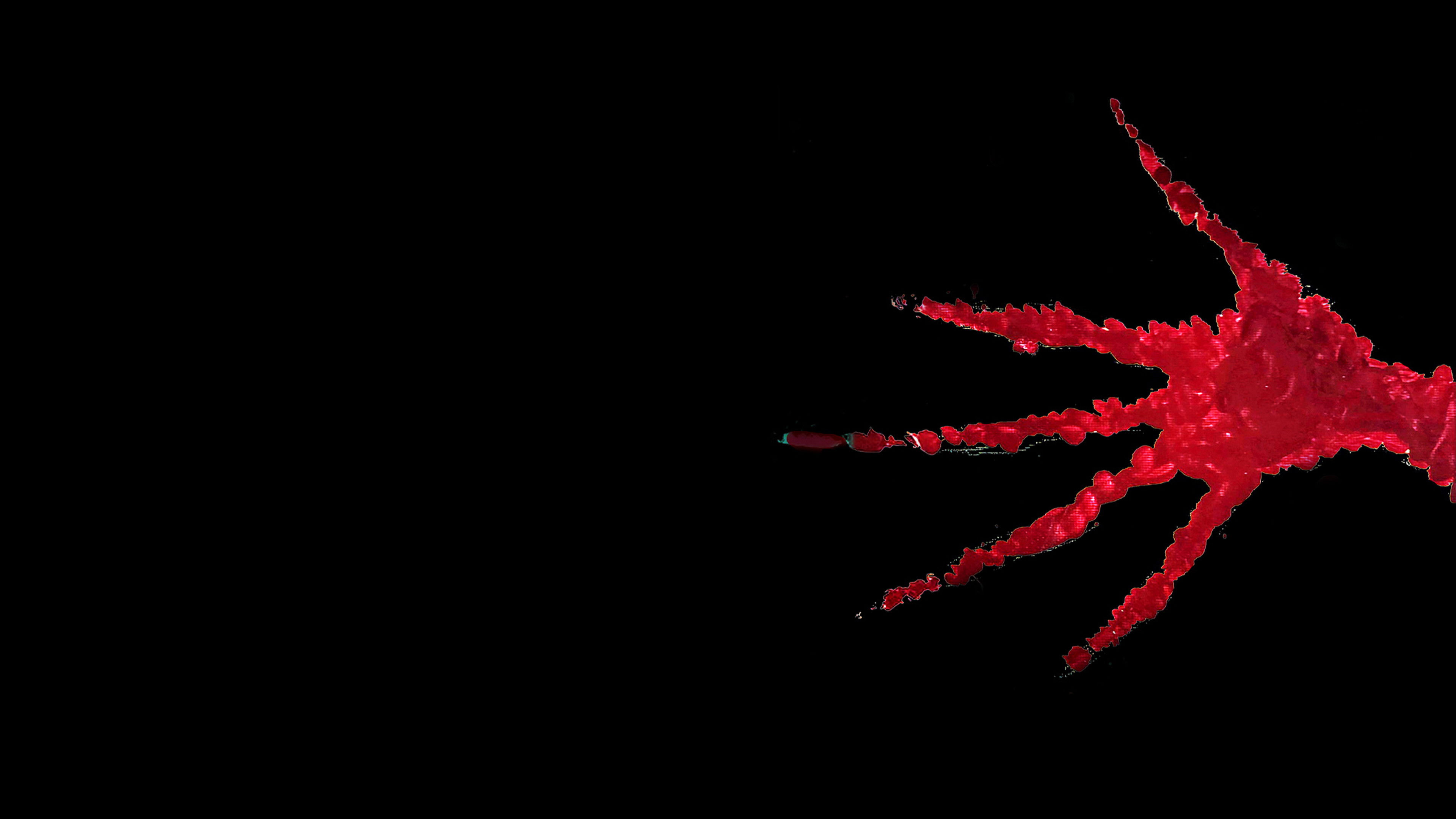 Backdrop for The Visitors