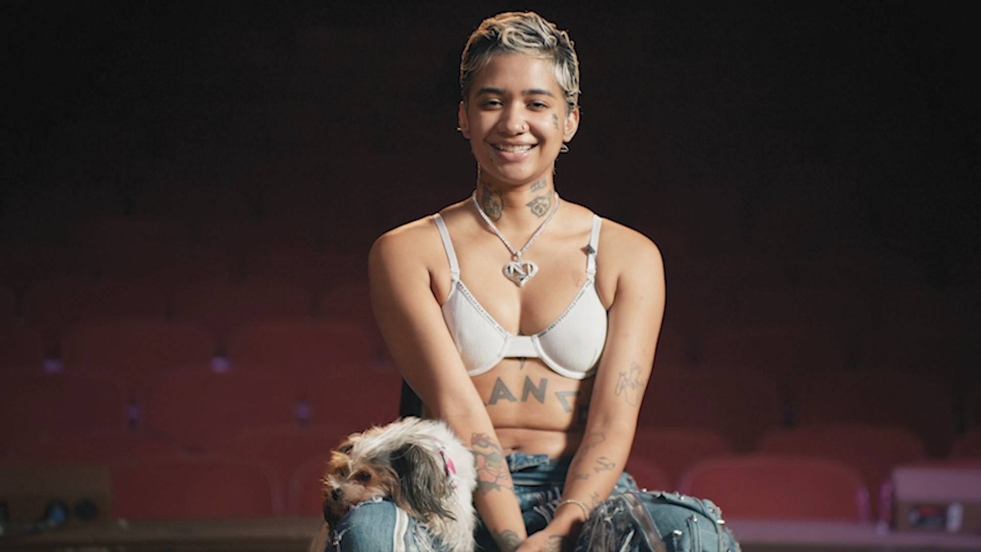 Backdrop for Nick Cannon Presents Future Superstars