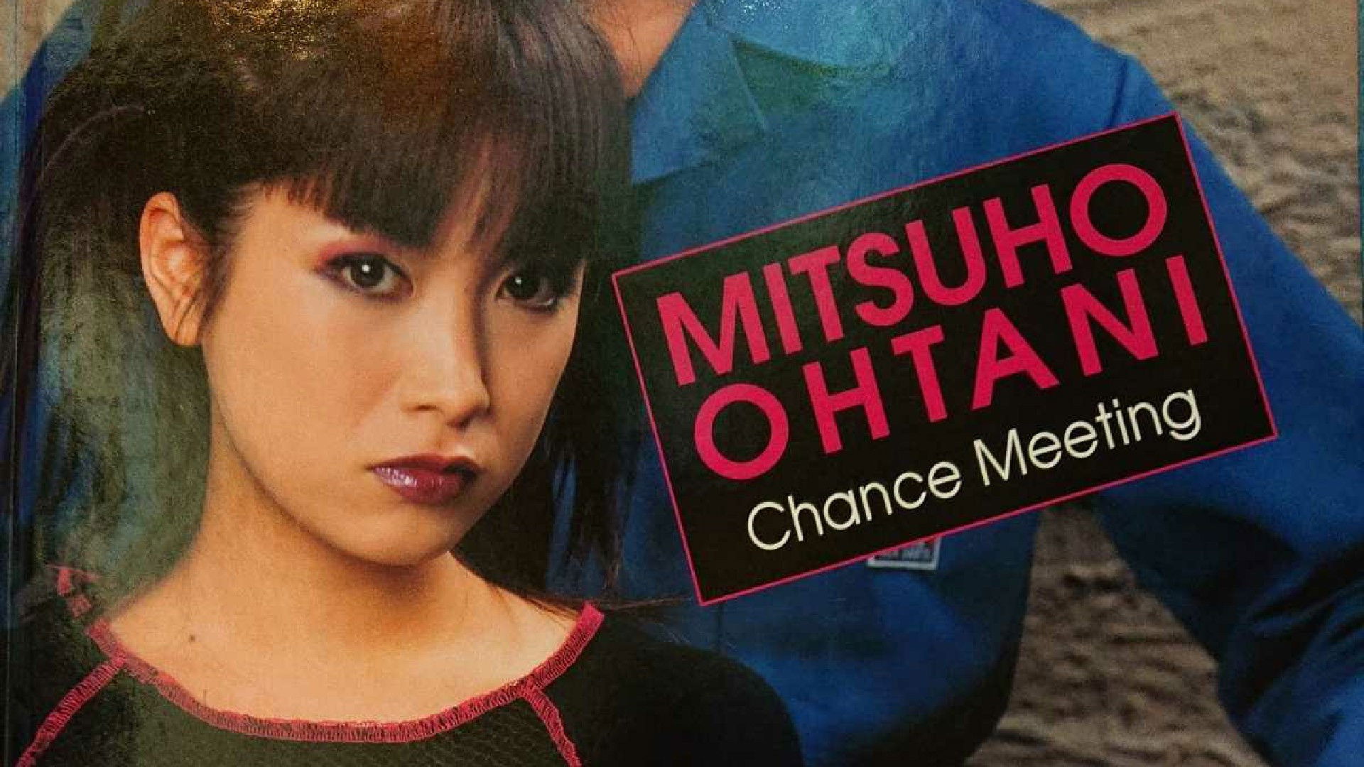 Backdrop for Flowers on the Razorwire: Chance Meeting