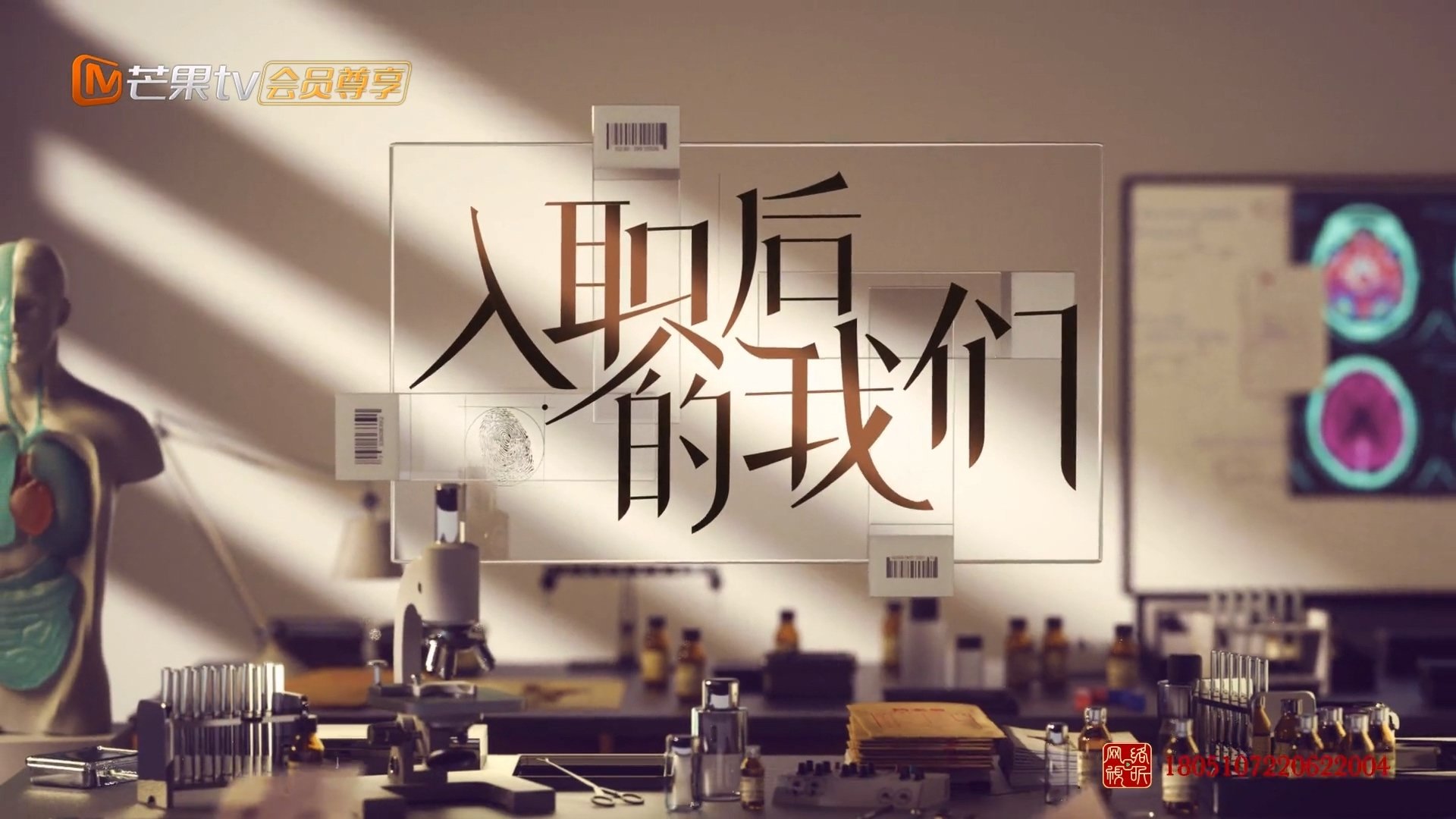 Backdrop for Career beginning