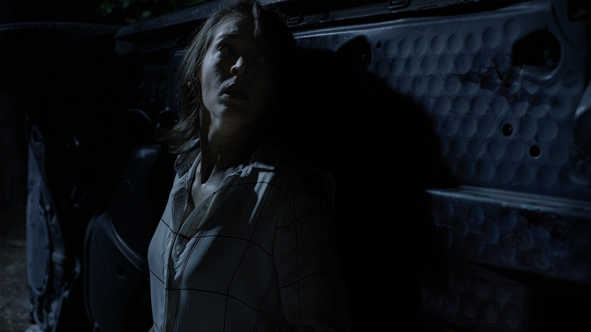 Backdrop for Endangered