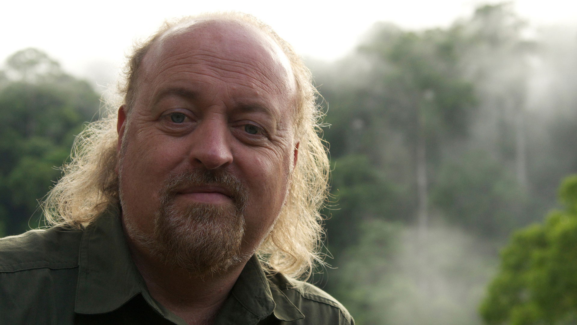 Backdrop for Bill Bailey's Jungle Hero