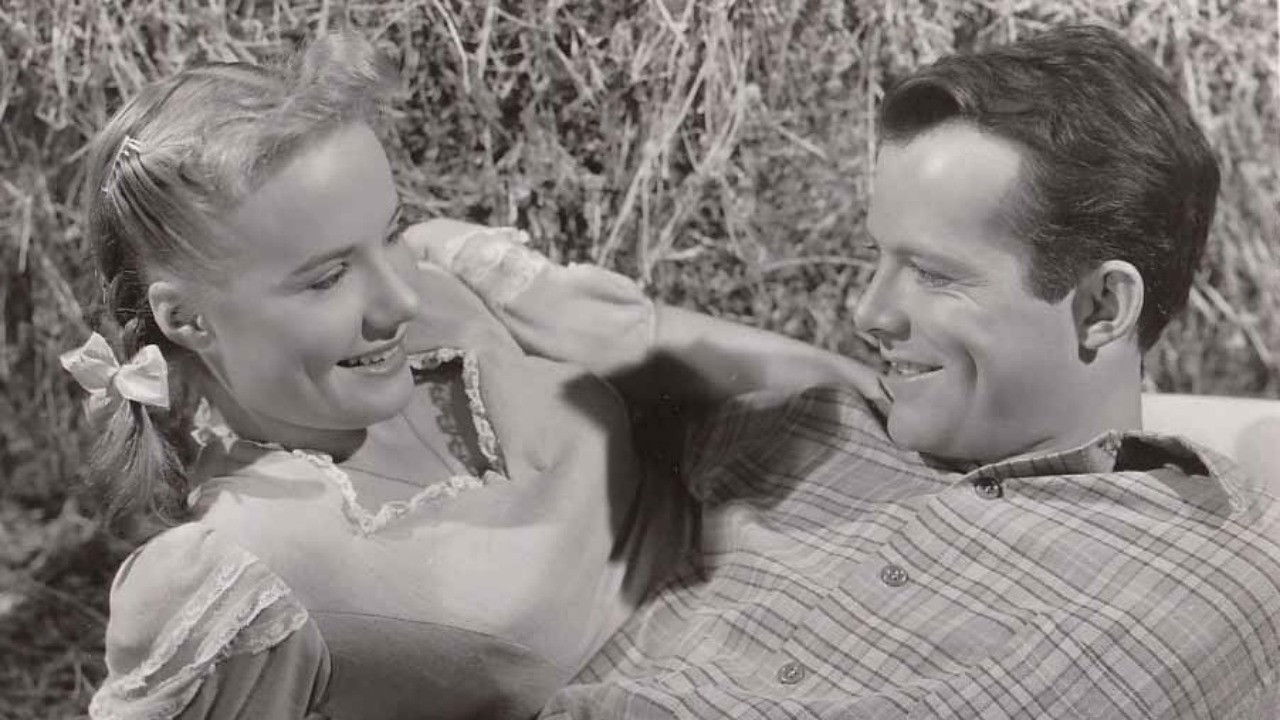 Backdrop for The Big Cat