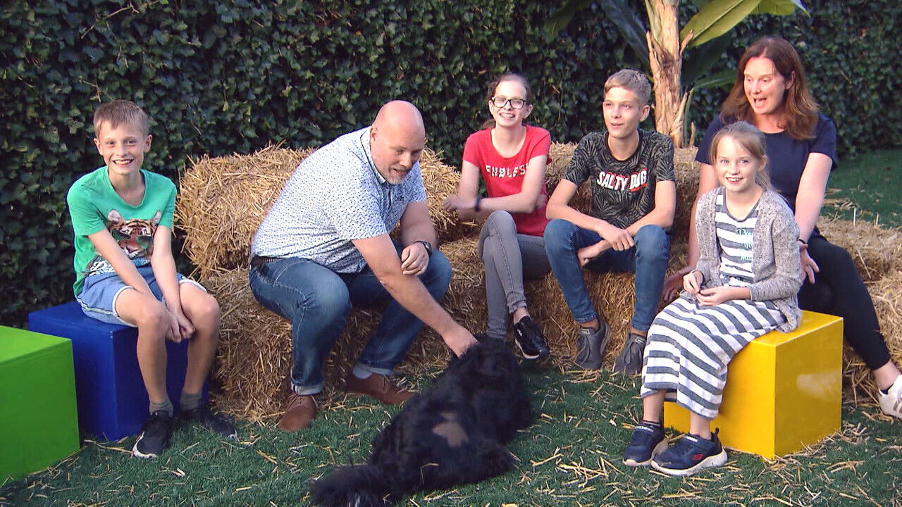 Backdrop for Nieuwe Baasjes