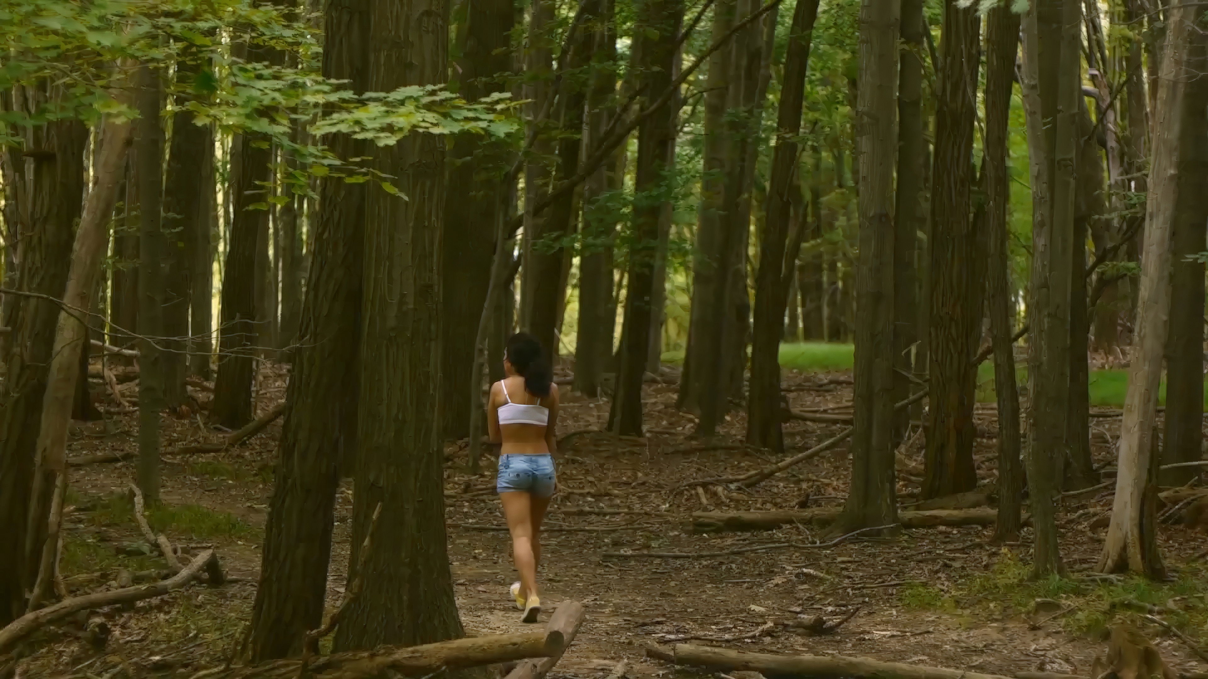 Backdrop for Scarred