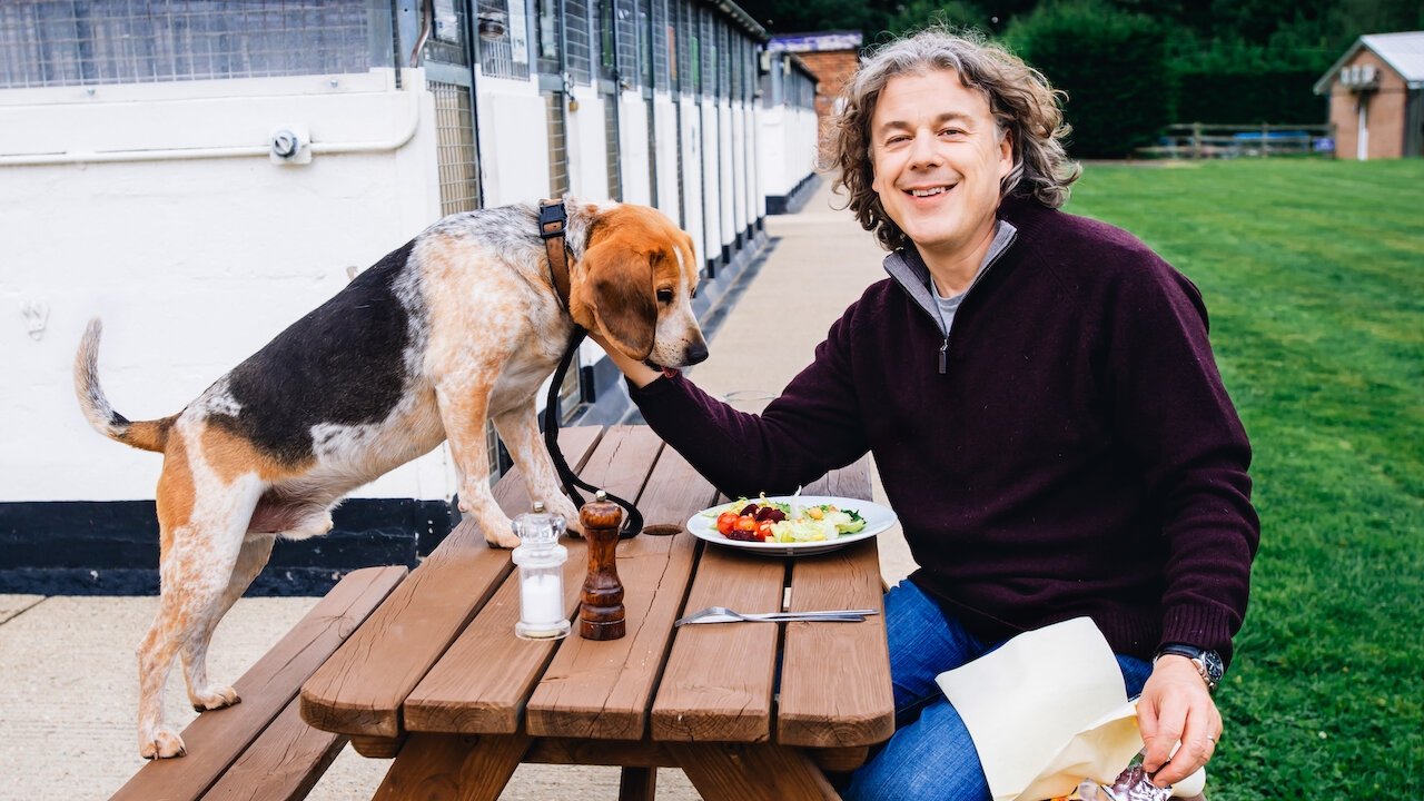 Backdrop for The Dog Rescuers with Alan Davies